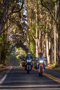Motorcycle safety