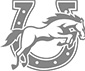 Wooster High School