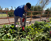 Benson & Bingham Deskin Elementary, a school in Northwestern Las Vegas