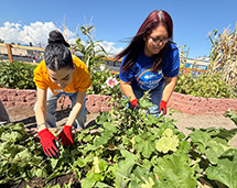 Benson & Bingham United Way’s 10th Annual Day of Caring